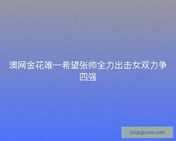 澳网金花唯一希望张帅全力出击女双力争四强